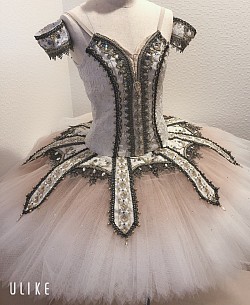 ガムザッティ、ライモンダ等　155〜165cm  ¥8000